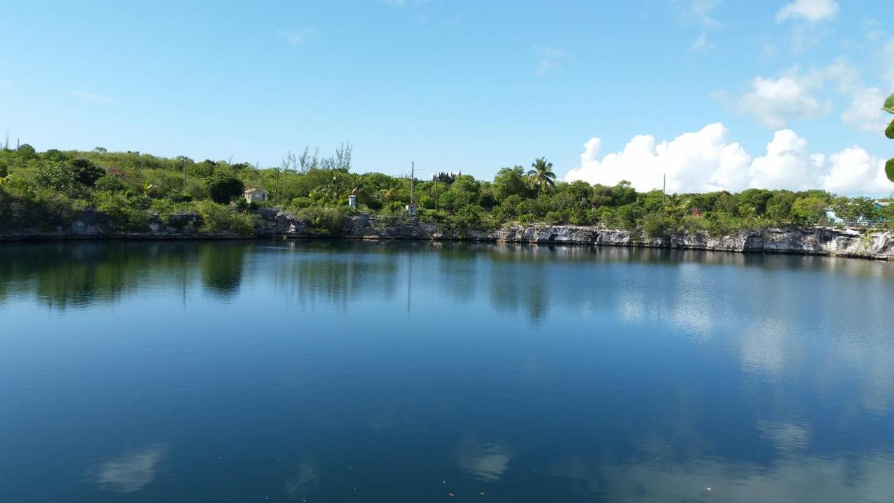 Beside The Pointe Cottage Savannah Sound Exterior foto